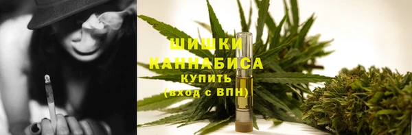 spice Ельня