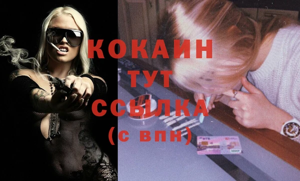 spice Ельня